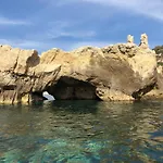 Rosa Tropea