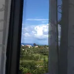Rosa Apartment