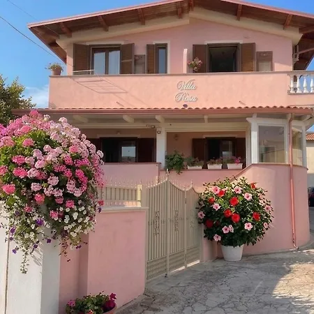 Rosa Tropea