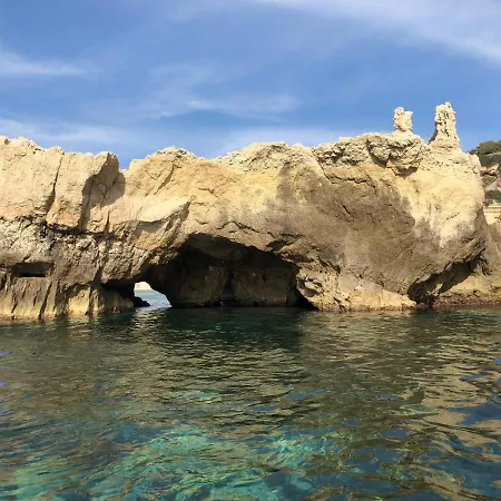 Rosa Tropea
