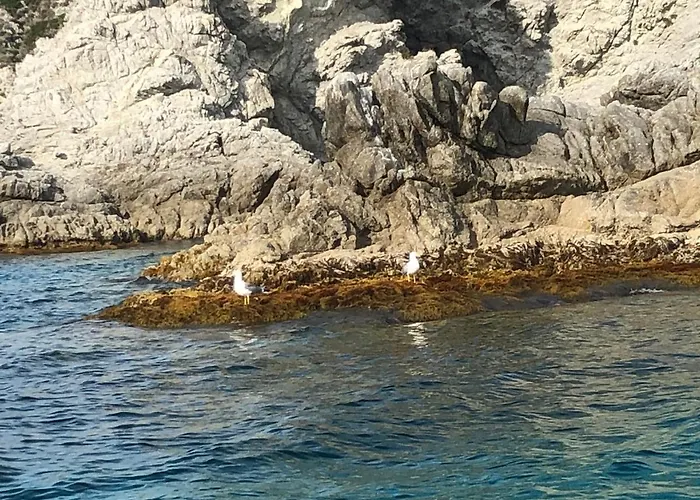 Rosa Διαμέρισμα